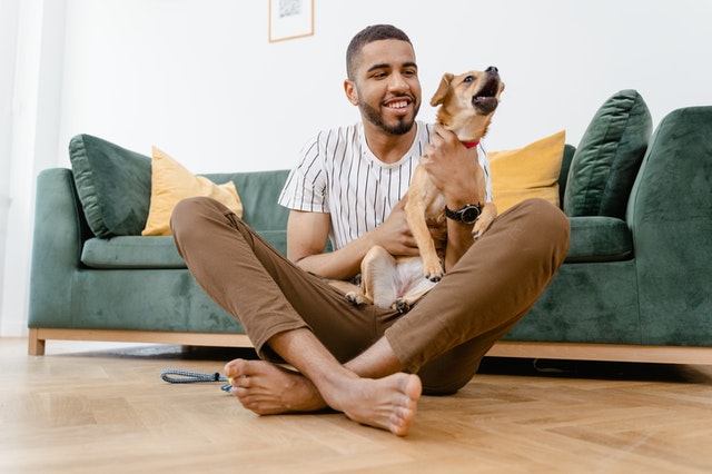 voor-nadelen-verhuren-woning-huisdieren